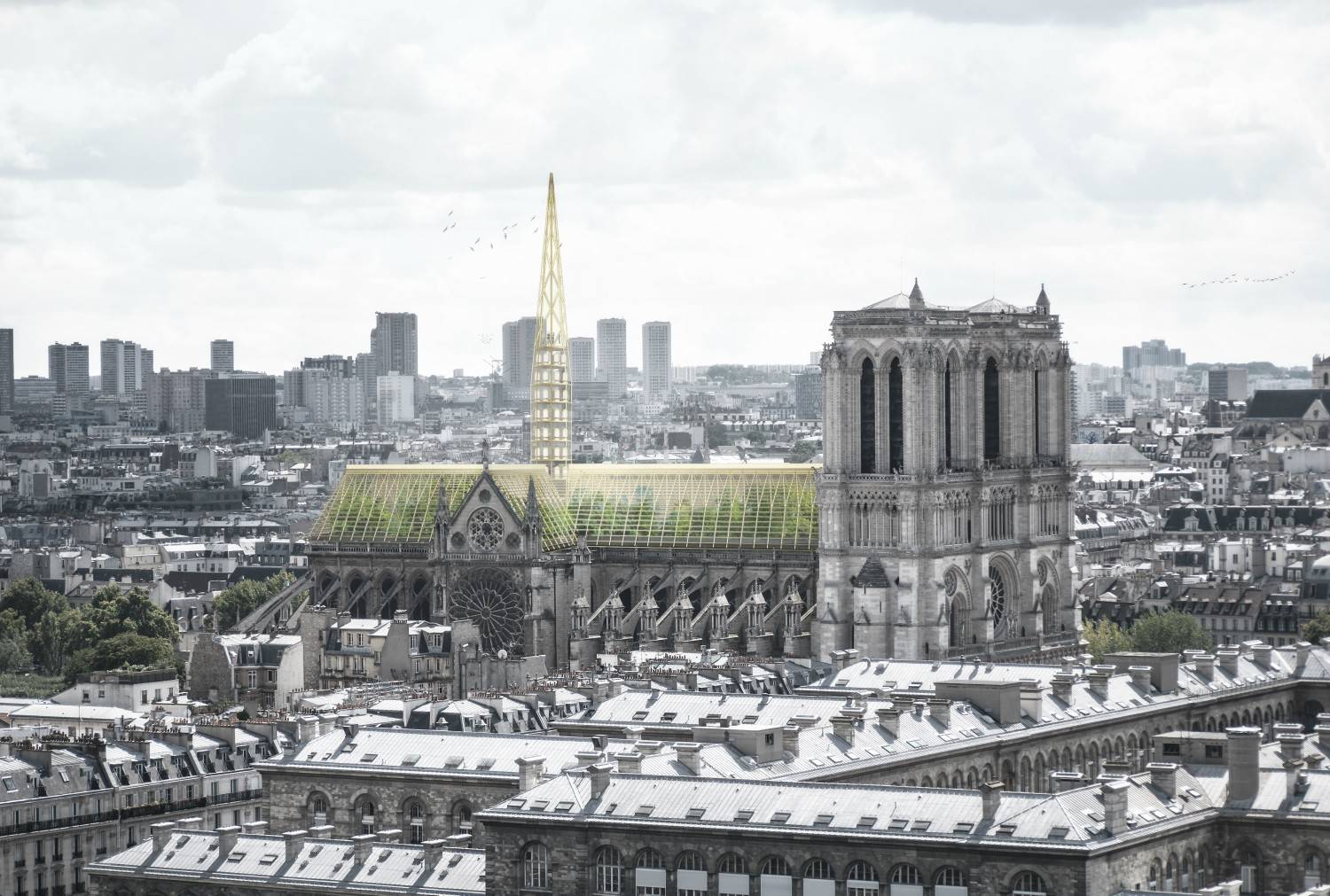 UN INVERNADERO Notre Dame París